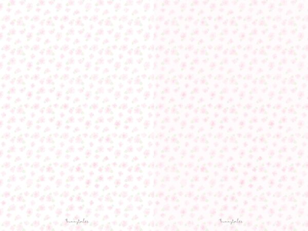 1.Bunnytales Inner Page