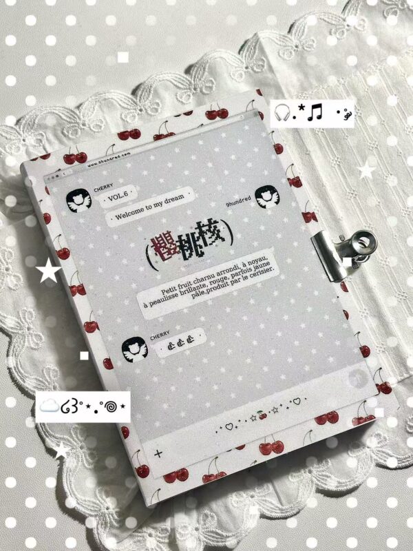 29.Cherry Pit sticker book