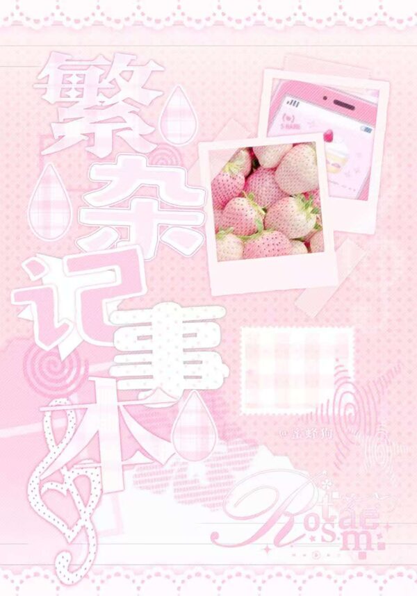 52.Complex Notebook sticker book